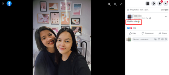 Phạm Quỳnh Anh sẽ sinh con trong tháng 6, hé lộ giới tính thai nhi - Ảnh 4