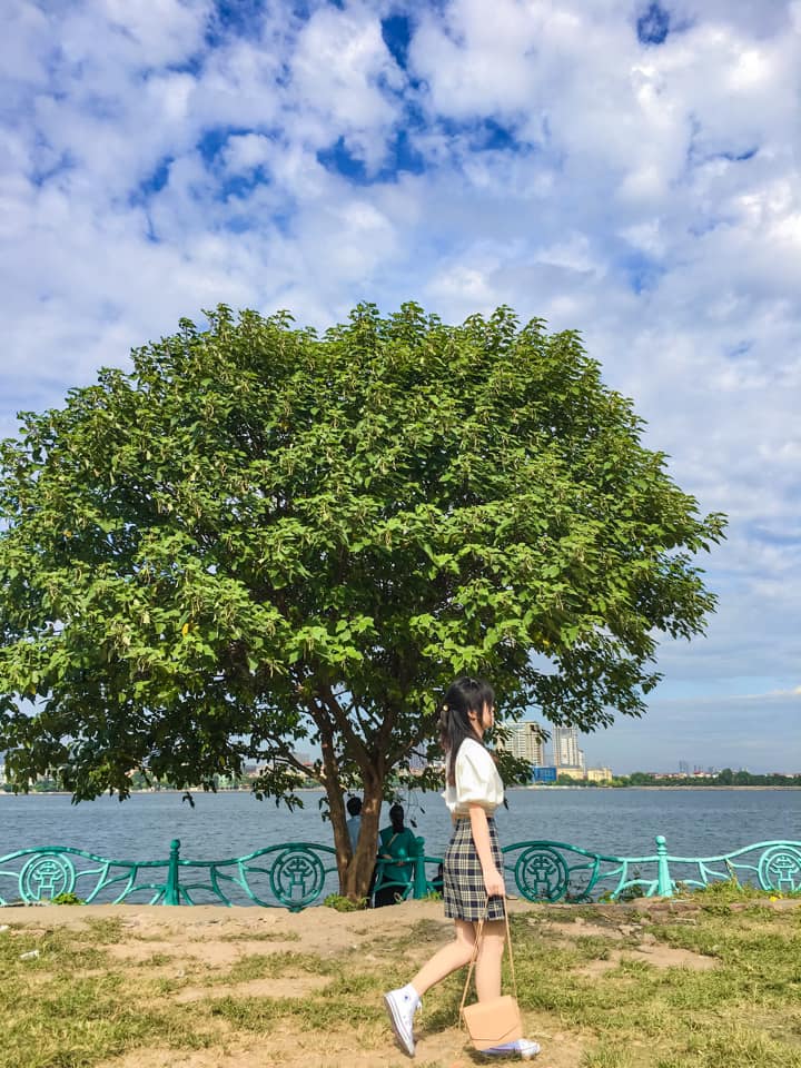 Lãnh đạo địa phương cho biết đã nắm được thông tin và sẽ cho kiểm tra ngay - Ảnh 3
