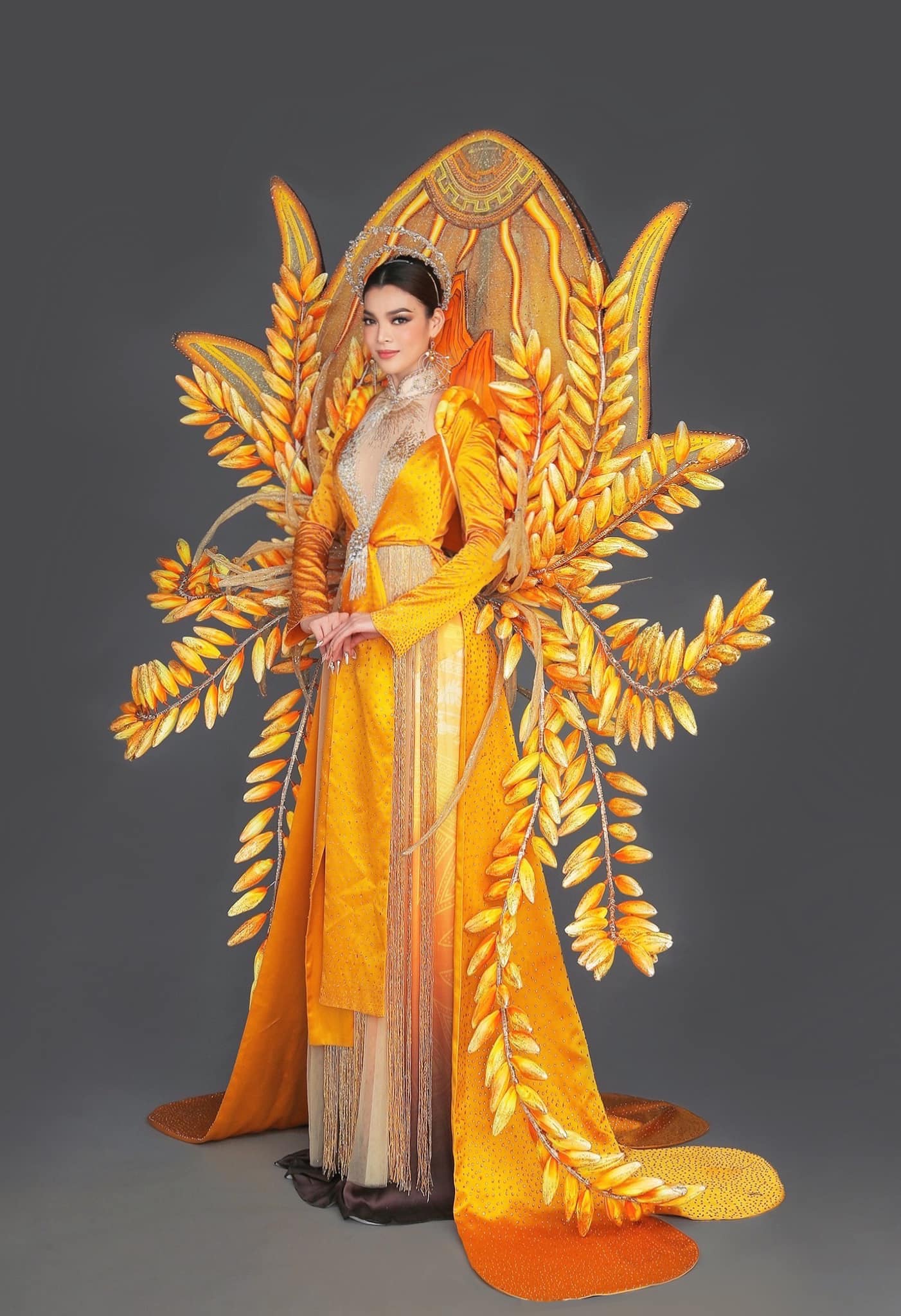 Trang phục dân tộc của Trân Đài tại MI Queen 2022 khiến fan thất vọng vì khác bản vẽ - Ảnh 2