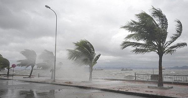 Dự báo thời tiết 3 ngày tới: Áp thấp trên biển mạnh lên thành bão, đất liền có mưa - Ảnh 1