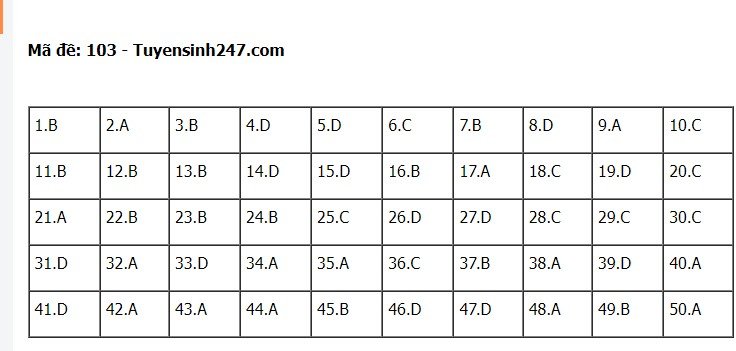 Gợi ý đáp án đề thi môn Toán thi tốt nghiệp THPT 2022 tất cả các mã đề  - Ảnh 1