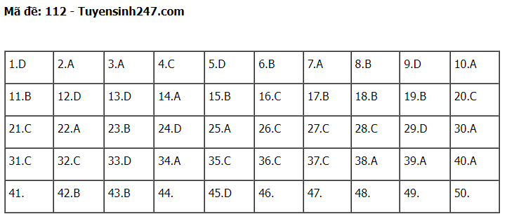 Gợi ý đáp án đề thi môn Toán thi tốt nghiệp THPT 2022 tất cả các mã đề  - Ảnh 1