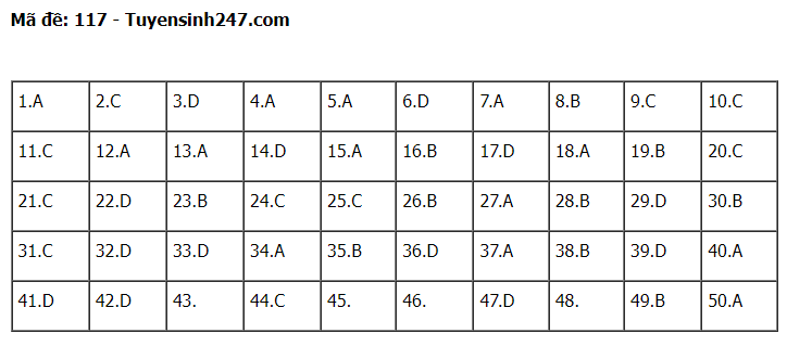 Gợi ý đáp án đề thi môn Toán thi tốt nghiệp THPT 2022 tất cả các mã đề  - Ảnh 1