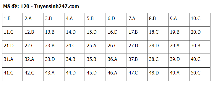 Gợi ý đáp án đề thi môn Toán thi tốt nghiệp THPT 2022 tất cả các mã đề  - Ảnh 1