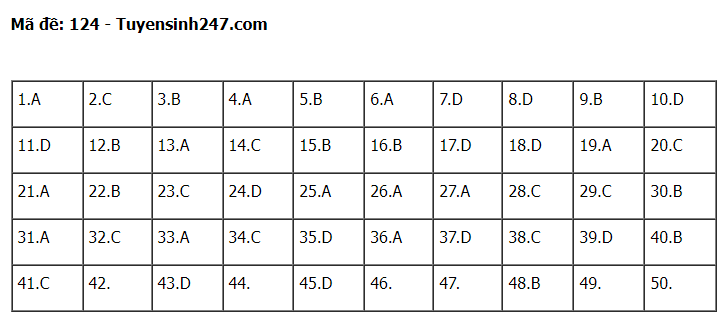 Gợi ý đáp án đề thi môn Toán thi tốt nghiệp THPT 2022 tất cả các mã đề  - Ảnh 1