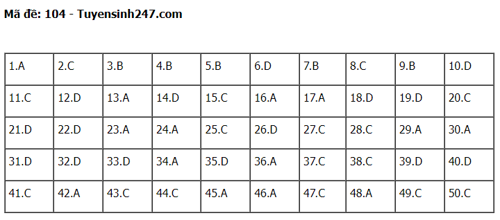 Gợi ý đáp án đề thi môn Toán thi tốt nghiệp THPT 2022 tất cả các mã đề  - Ảnh 1