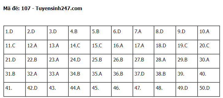 Gợi ý đáp án đề thi môn Toán thi tốt nghiệp THPT 2022 tất cả các mã đề  - Ảnh 1