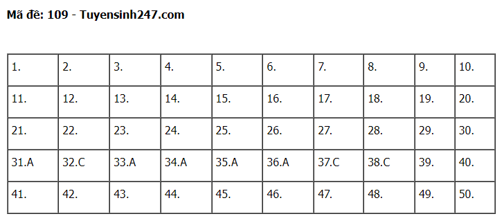 Gợi ý đáp án đề thi môn Toán thi tốt nghiệp THPT 2022 tất cả các mã đề  - Ảnh 1