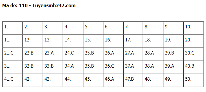 Gợi ý đáp án đề thi môn Toán thi tốt nghiệp THPT 2022 tất cả các mã đề  - Ảnh 2