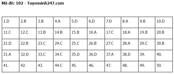Gợi ý đáp án đề thi môn Toán thi tốt nghiệp THPT 2022 tất cả các mã đề (đang cập nhật) - Ảnh 2