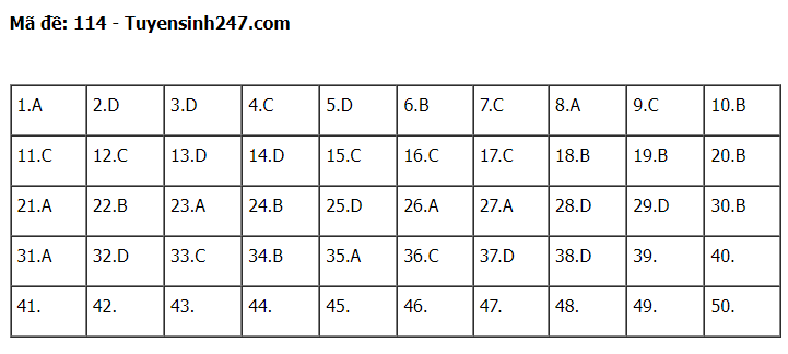 Gợi ý đáp án đề thi môn Toán thi tốt nghiệp THPT 2022 tất cả các mã đề (đang cập nhật) - Ảnh 1