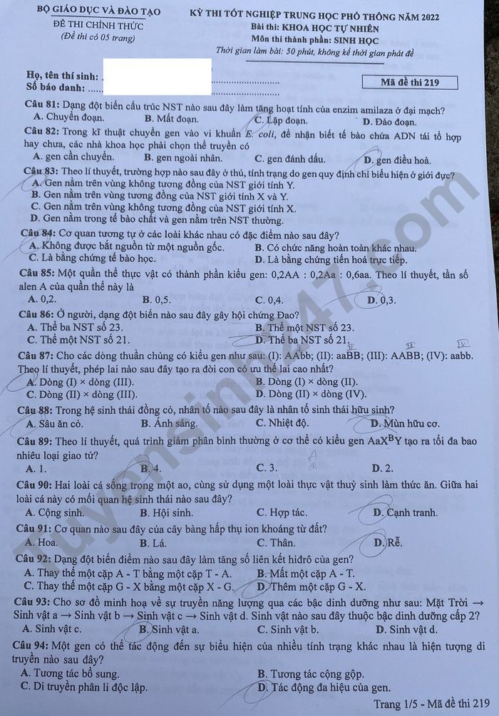 Đáp án đề thi môn Sinh học mã đề 219 kỳ thi tốt nghiệp THPT 2022 - Ảnh 1