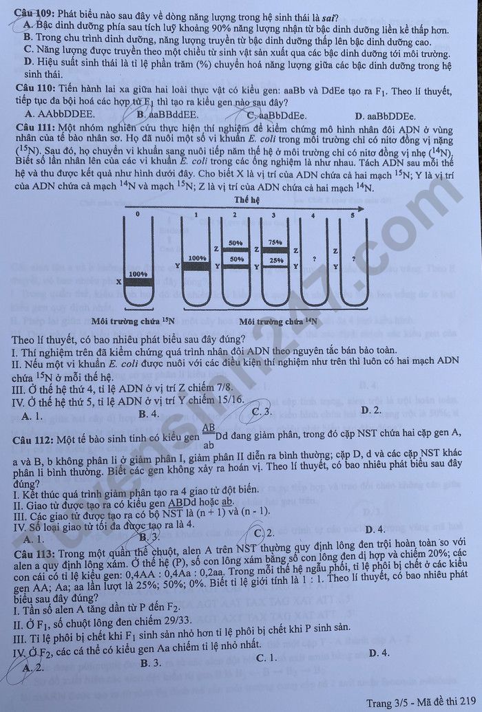 Đáp án đề thi môn Sinh học mã đề 219 kỳ thi tốt nghiệp THPT 2022 - Ảnh 3