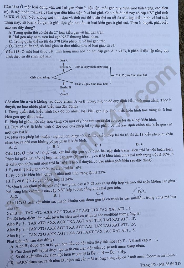 Đáp án đề thi môn Sinh học mã đề 219 kỳ thi tốt nghiệp THPT 2022 - Ảnh 4