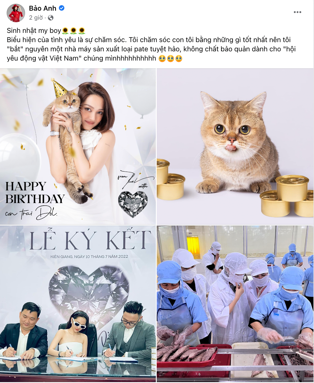 Bảo Anh chi tiền tỷ  mua hẳn nhà máy sản xuất pate riêng cho mèo cưng - Ảnh 4