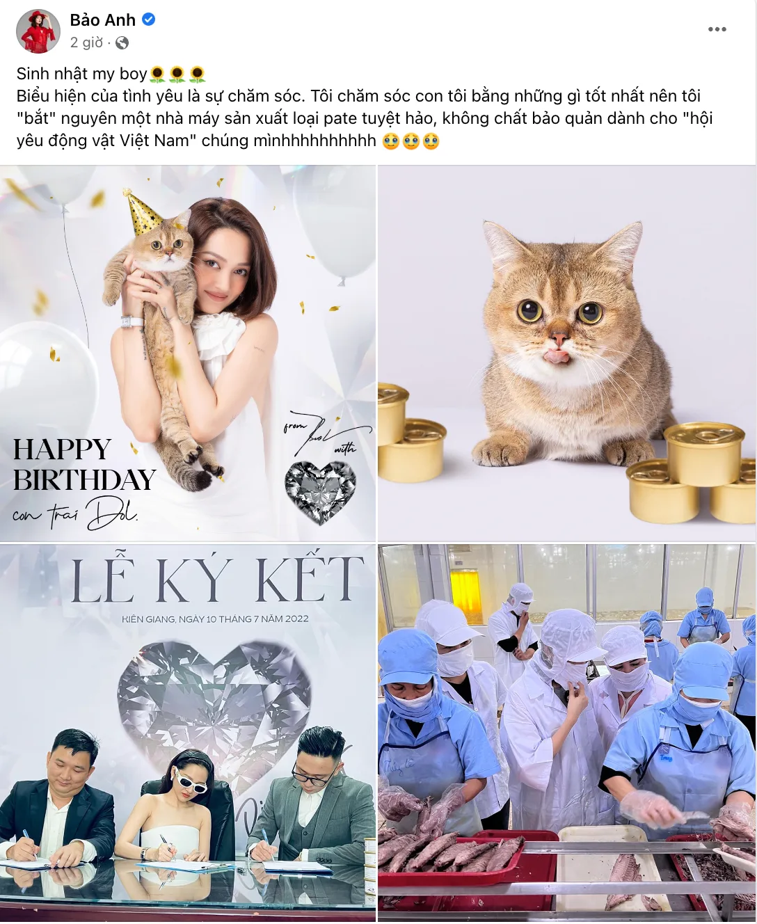 Bảo Anh chi tiền tỷ  mua hẳn nhà máy sản xuất pate riêng cho mèo cưng - Ảnh 4