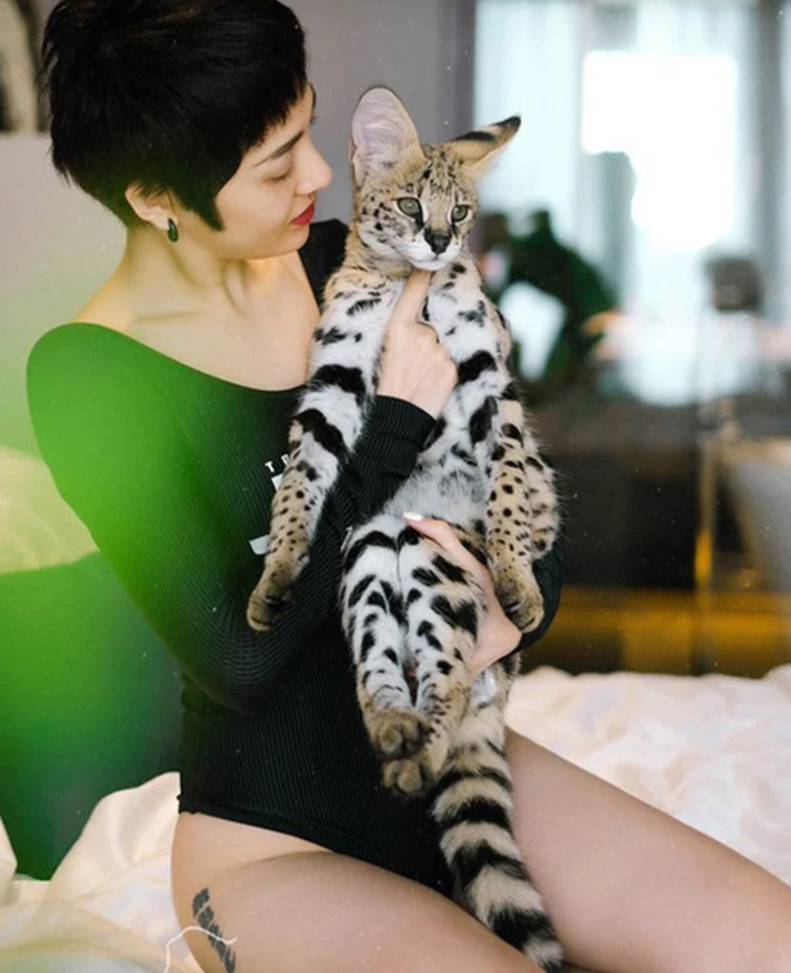 Bảo Anh chi tiền tỷ  mua hẳn nhà máy sản xuất pate riêng cho mèo cưng - Ảnh 5