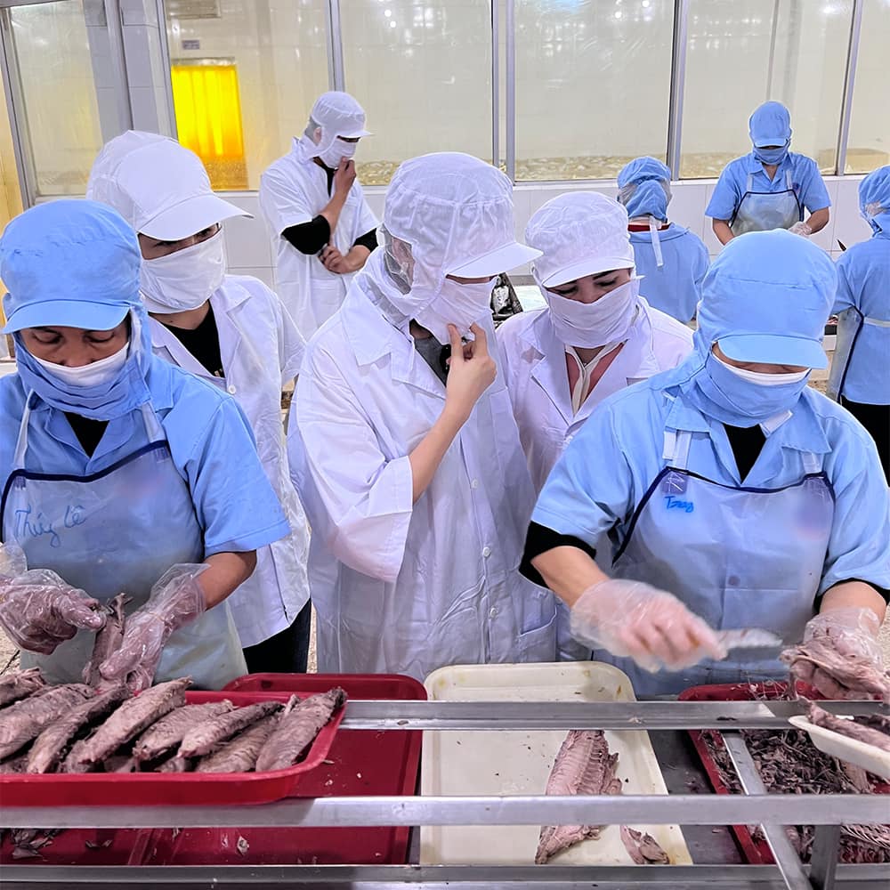 Bảo Anh chi tiền tỷ  mua hẳn nhà máy sản xuất pate riêng cho mèo cưng - Ảnh 1