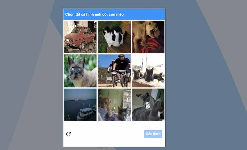 Zalo Web: Cách đăng nhập zalo online và offline  - Ảnh 1
