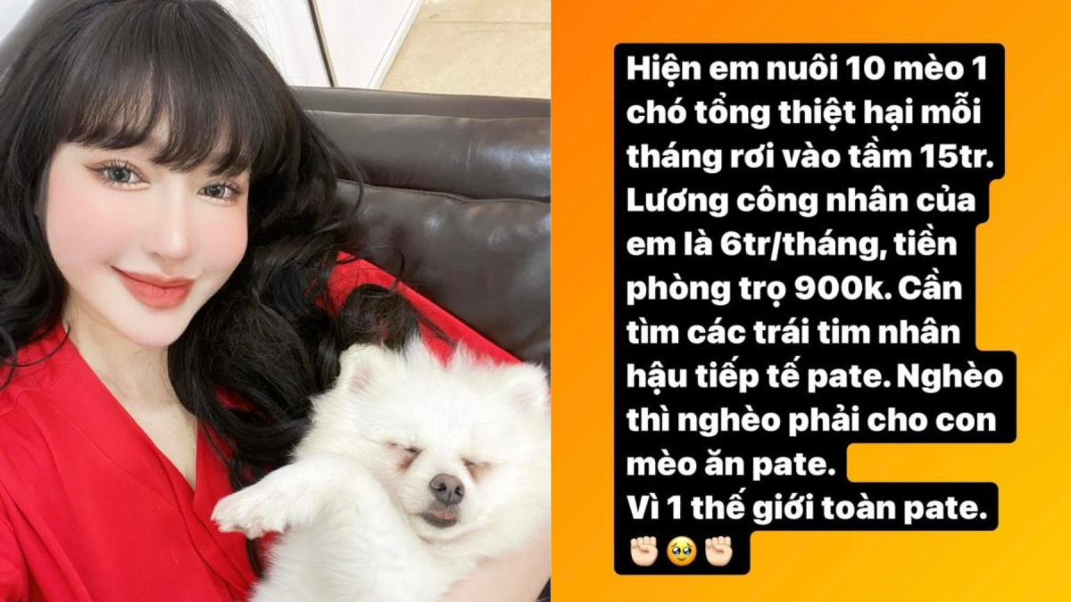 Elly Trần tìm người tiếp tế pate cho 10 thú cưng vì tiền pate gấp ...