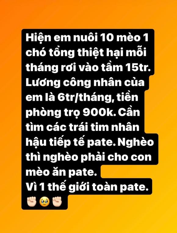 Elly Trần nuôi hơn 10 em thú cưng mỗi tháng hết 15 triệu, tìm người tiếp tế pate vì nghèo - Ảnh 3