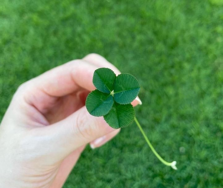 Fan đoán Son Ye Jin mang thai đôi dựa vào 2 bức ảnh ẩn ý - Ảnh 1