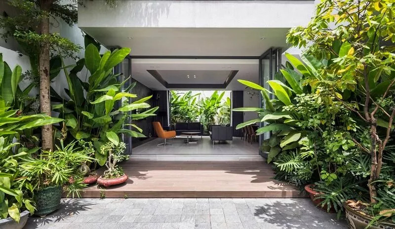 4 cây trồng trước nhà không lục đục cũng bại vong - Ảnh 1