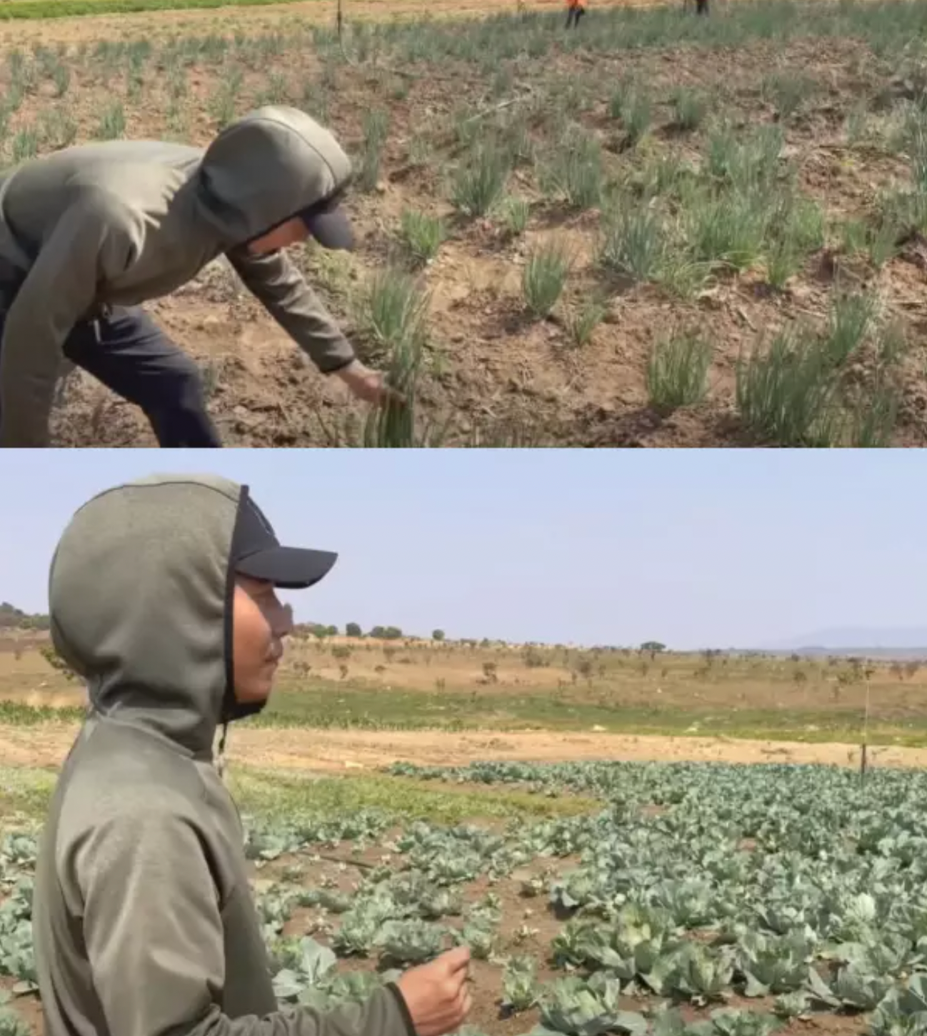 Quang Linh Vlogs khoe trang trại hơn 2 tỷ làm ăn “lên như diều