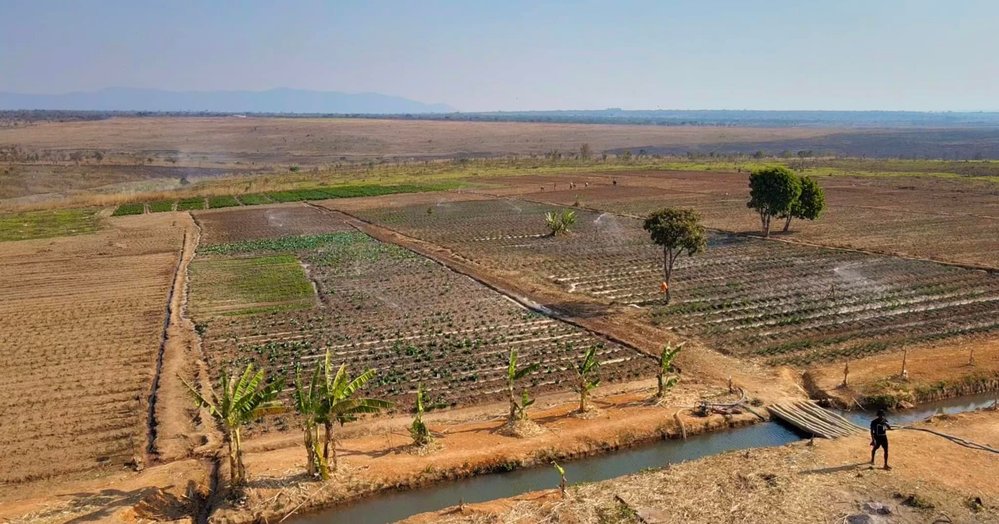 Quang Linh Vlog tính chuyện lấy vợ, tiêu chí làm bà chủ trang trại cực dễ- Ảnh 5