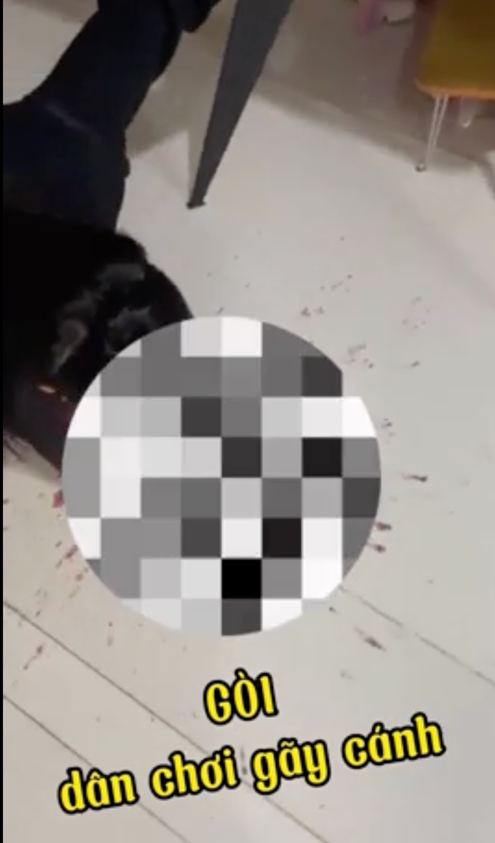 Ngán ngẩm Ngọc Trinh say xỉn “beautiful” tung toé khắp biệt thự triệu đô- Ảnh 5