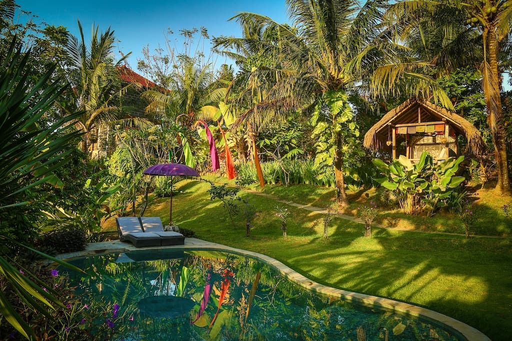 Nếu có dịp lưu trú tại Balian Treehouse nổi tiếng tại Indonesia, bạn có thể đi dạo trong khu vườn để hái đu đủ, chanh dây và dừa tươi trên hòn đảo thơ mộng này.