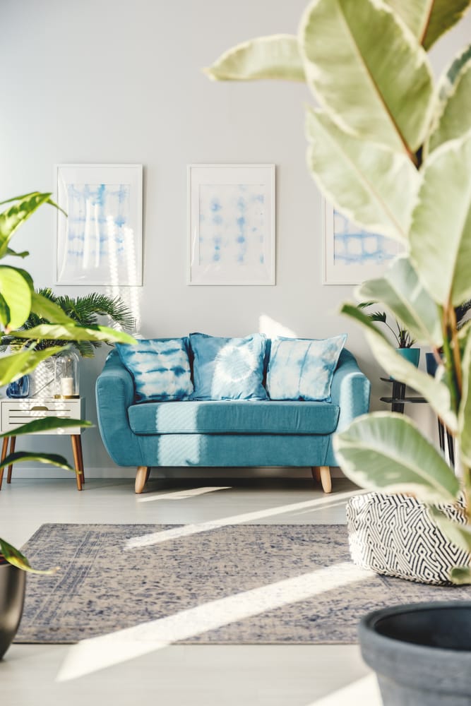 Những tia nắng mai len qua ô cửa nhỏ, phản chiếu ánh sáng vào chiếc ghế sofa màu lam ngọc cho phòng khách cảm giác thanh bình, dịu dàng đến lạ!
