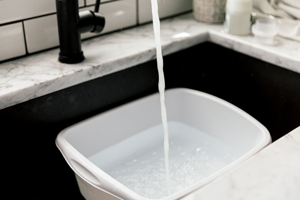 Đổ nước vào bồn rửa hoặc đặt một chiếc chậu nhựa sạch vào trong bồn.