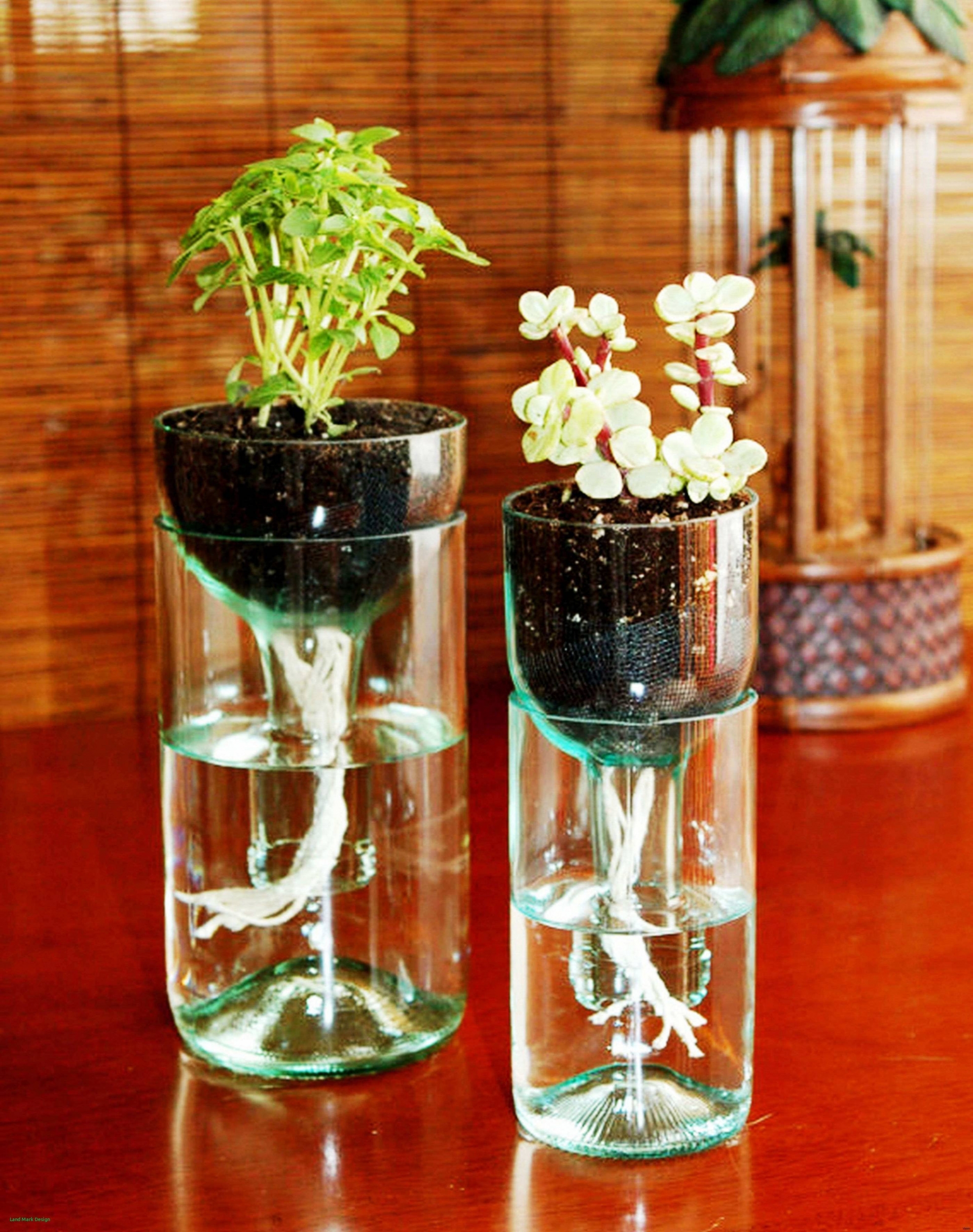 Ý tưởng này giúp bạn tận dụng toàn bộ chai thủy tinh mà không phải vứt bỏ phần nào. Tạo “vườn ươm thực vật bằng cách cắt chai theo tỉ lệ 1/3, đổ nước vào thân chai, đặt đất trồng và hoa (cây cảnh) vào phần miệng chai (úp ngược như chiếc phễu). 