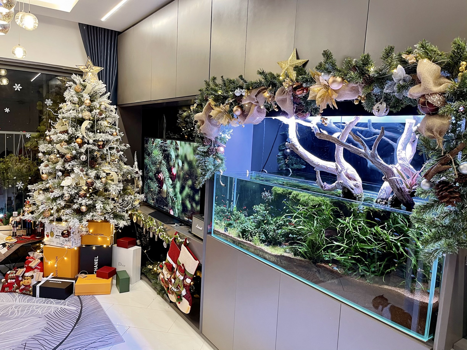 Phòng khách trang hoàng rực rỡ với cây thông Noel, hồ cá lung linh tuyệt đẹp.