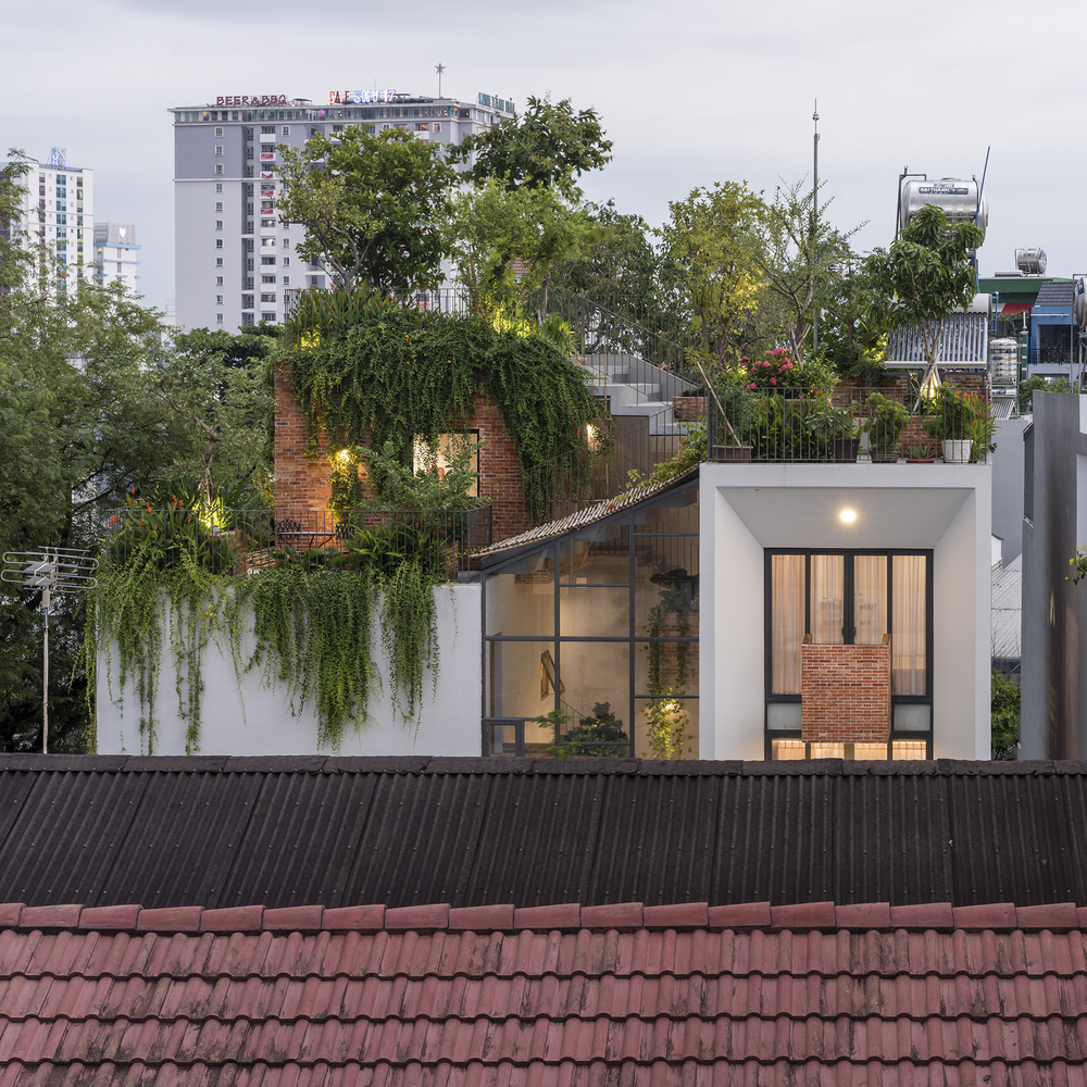 Park Roof House: Ngôi nhà sở hữu 'công viên' trên sân thượng tuyệt đẹp tại Sài Gòn - Ảnh 1