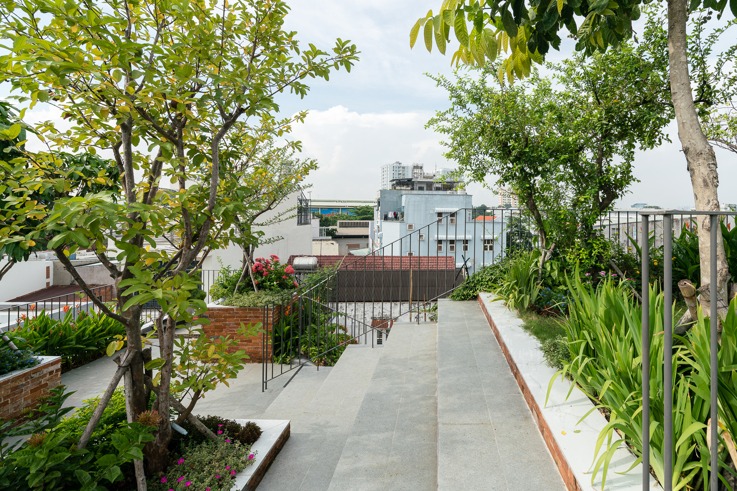 Park Roof House: Ngôi nhà sở hữu 'công viên' trên sân thượng tuyệt đẹp tại Sài Gòn - Ảnh 5