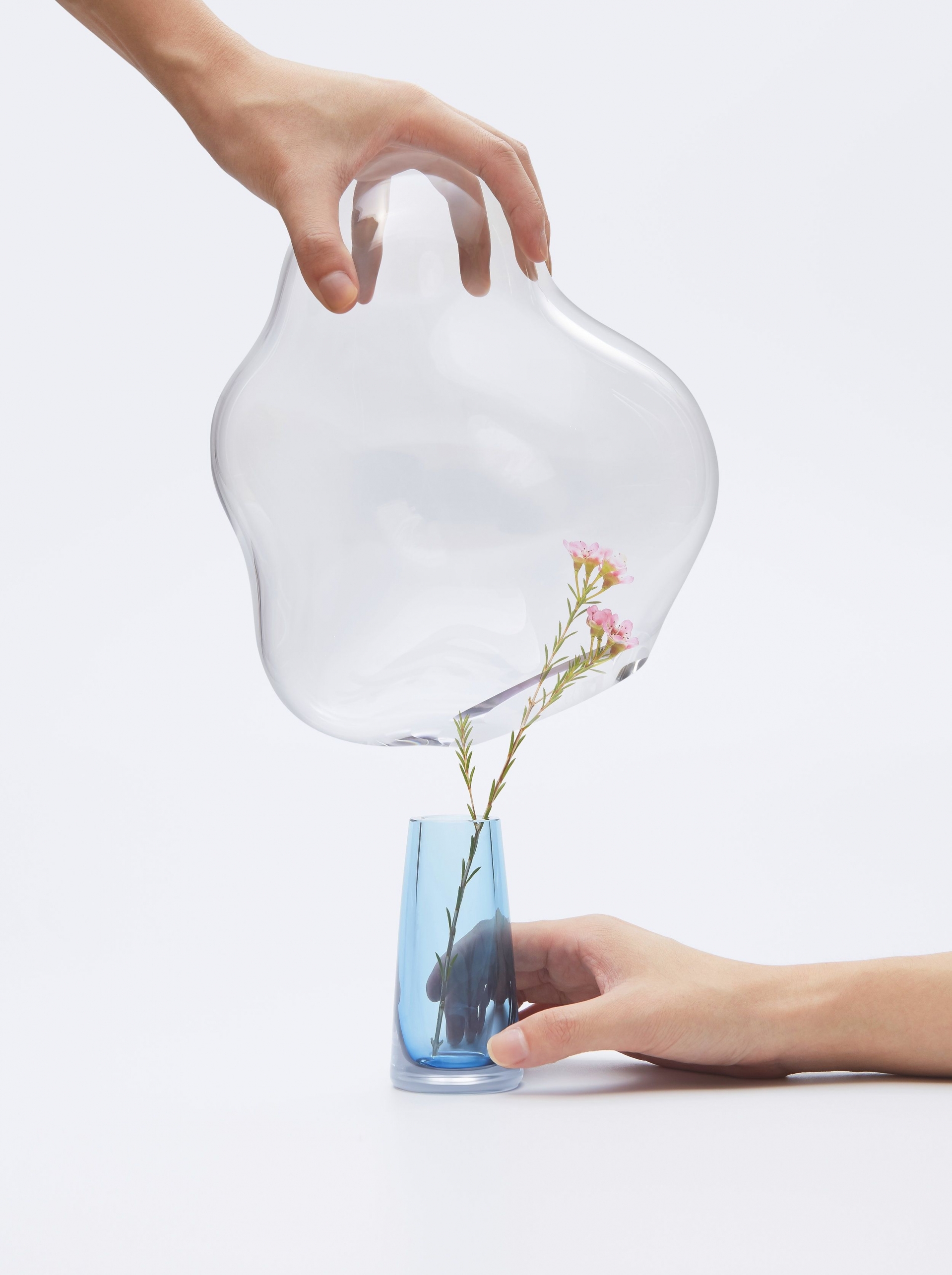 Bubble khuyến khích chúng ta cẩn thận đặt chiếc mũ thủy tinh lên bình để bảo vệ bông hoa bên trong nó.