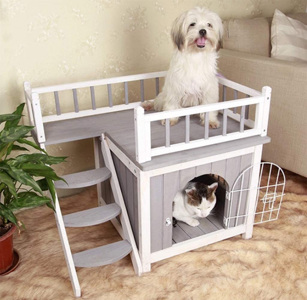 Thiết kế giường tầng chỉ dành cho nhà có nhiều trẻ nhỏ ư? Không hẳn đâu nhé, ở đây chúng ta có một cô mèo và một chú chó cùng chúng sống hòa bình đây này!