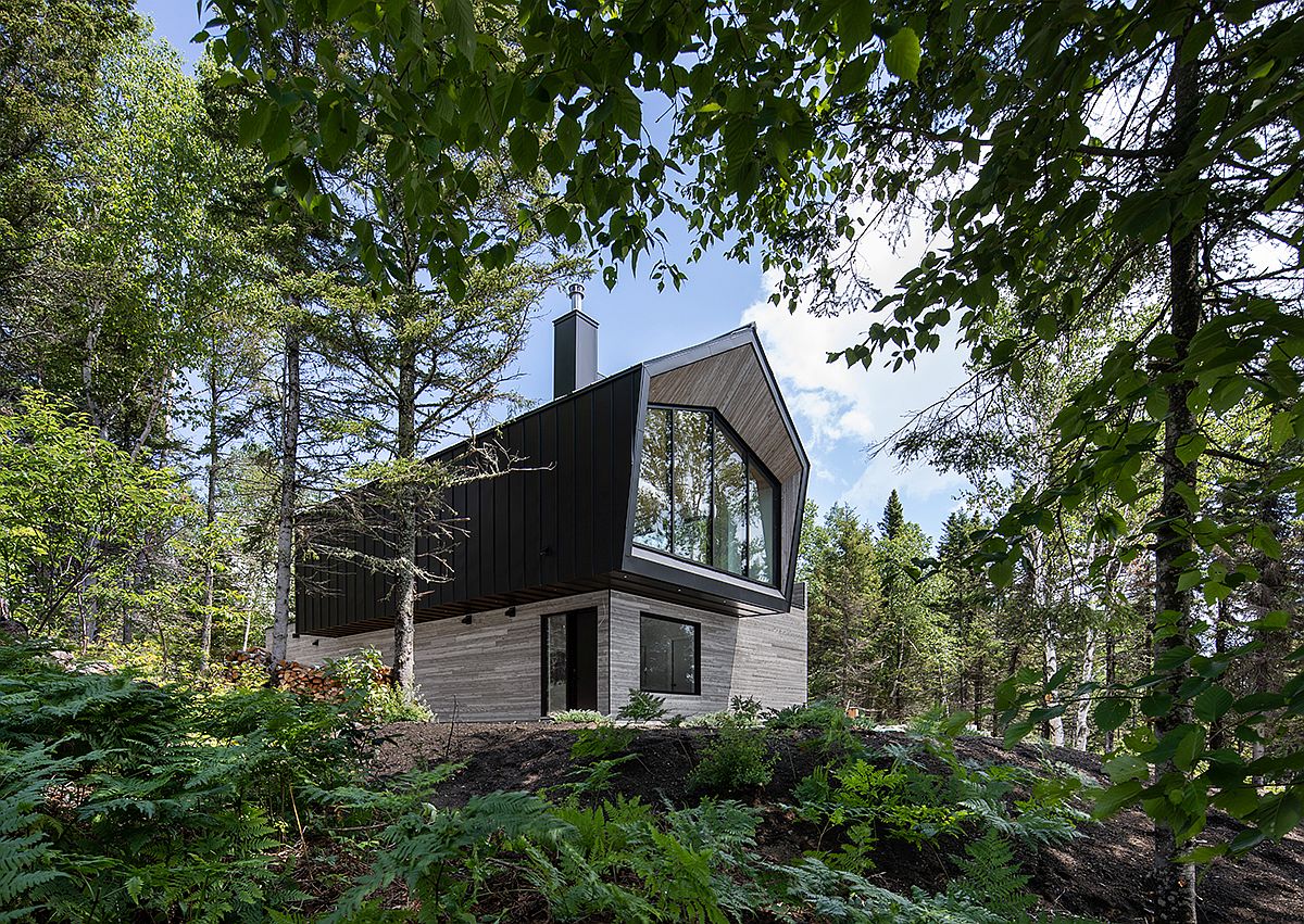 Hình ảnh ngôi nhà được chụp từ xa như được bao bọc, chở che bằng những tán cây xanh mát, rì rào trong gió.