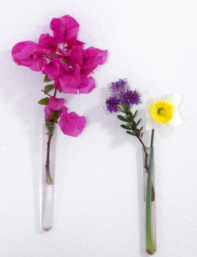 Bạn có thể nhặt một nhành hoa dại ven đường, hoa giấy trước hiên nhà,...