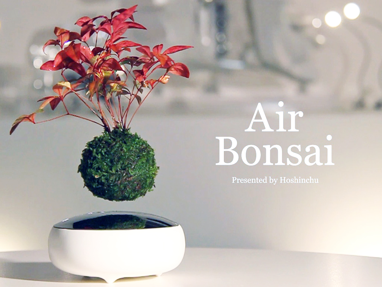 Công ty Hoshinchu có trụ sở tại Kyushu, Nhật Bản đã phát minh ra Air Bonsai khiến bạn mãn nhãn bởi vẻ đẹp siêu thực mà nó mang lại.
