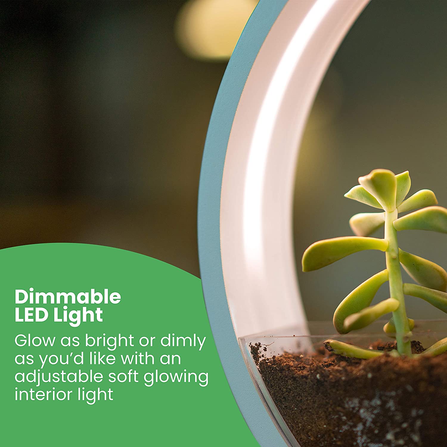 Hệ thống đèn led Dimmable chiếu sáng hầu như cả ngày để giúp cây trồng phát triển tốt ngay cả khi không có đủ ánh sáng.