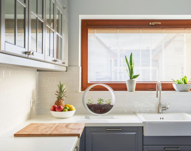 Led Planter, chiếc chậu cây kiêm đèn ngủ, đồ trang trí cá tính tiền triệu