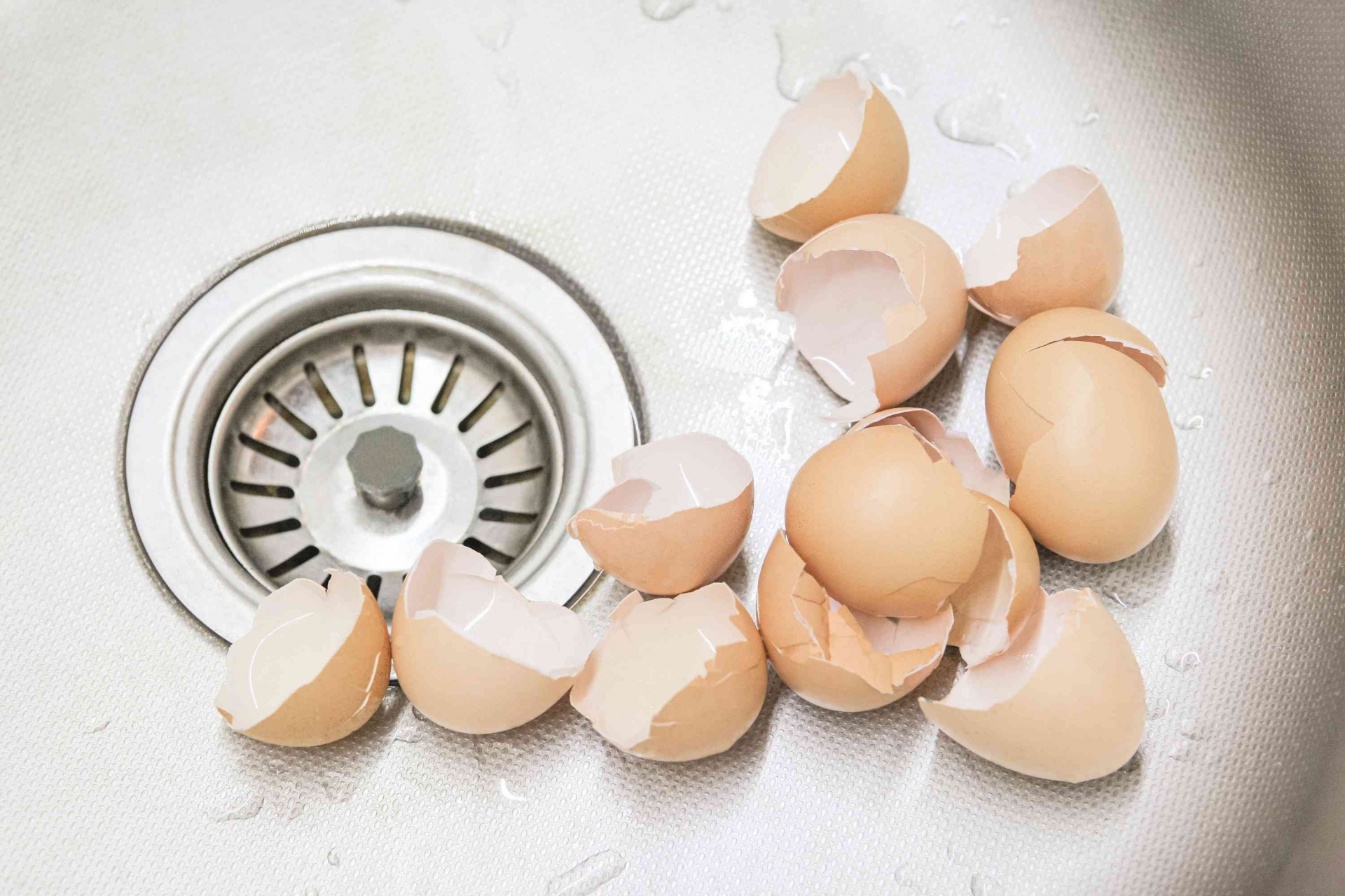 Vỏ trứng mất một khoảng thời gian rất dài để phân hủy.