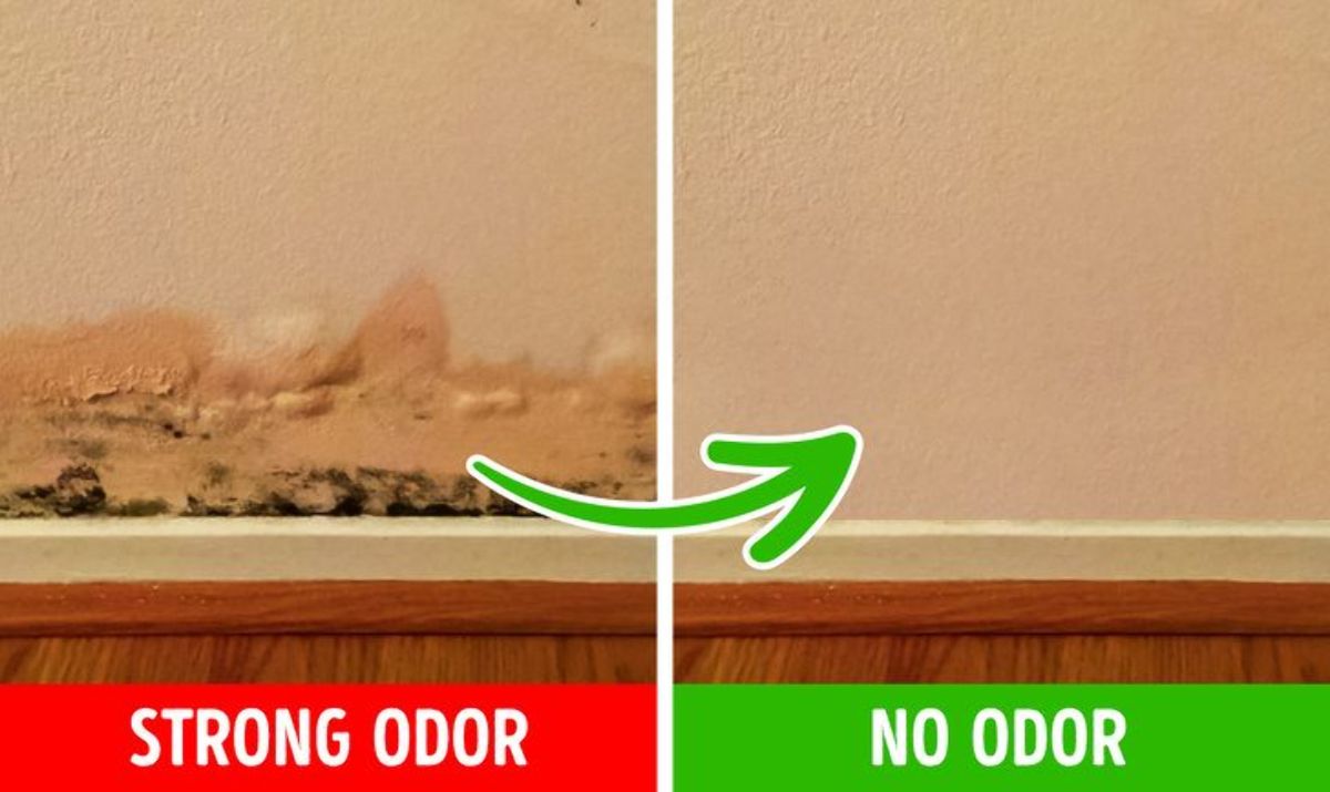Nếu trong nhà của bạn xuất hiện mùi mốc thì hãy nhanh chóng kiểm tra các bức tường.