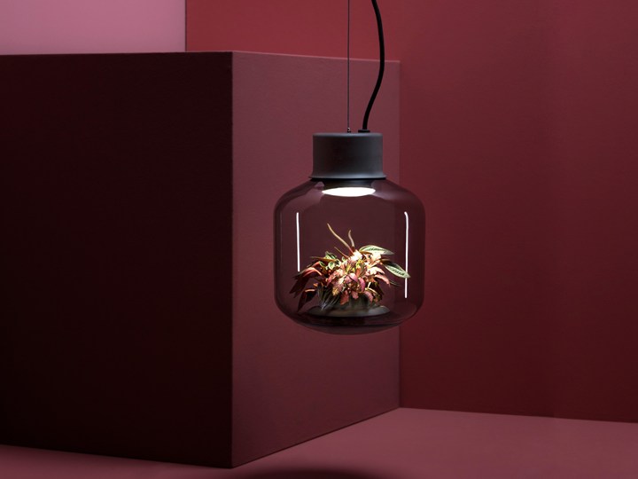 Thiết kế chiếc đèn thả trần có tên gọi Mygdal Plantlights do Nui Design Studio sáng tạo đáp ứng một cách hoàn hảo nhu cầu trồng cây của người dùng. 