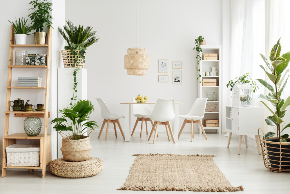 Trồng cây trong nhà: 5 ý tưởng tự tạo một khu vườn mini xinh đẹp ngày Hè