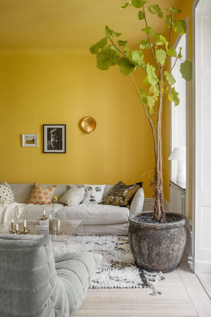 Phòng khách tuyệt đẹp với toàn bộ bức tường và trần nhà sơn vàng nhưng không hề gây cảm giác chói chang. Nhờ sàn nhà lát gỗ sáng màu, nội thất thấp sàn cùng với chậu cây vươn cao mạnh mẽ cho cảm giác căn phòng 'cao vút'.