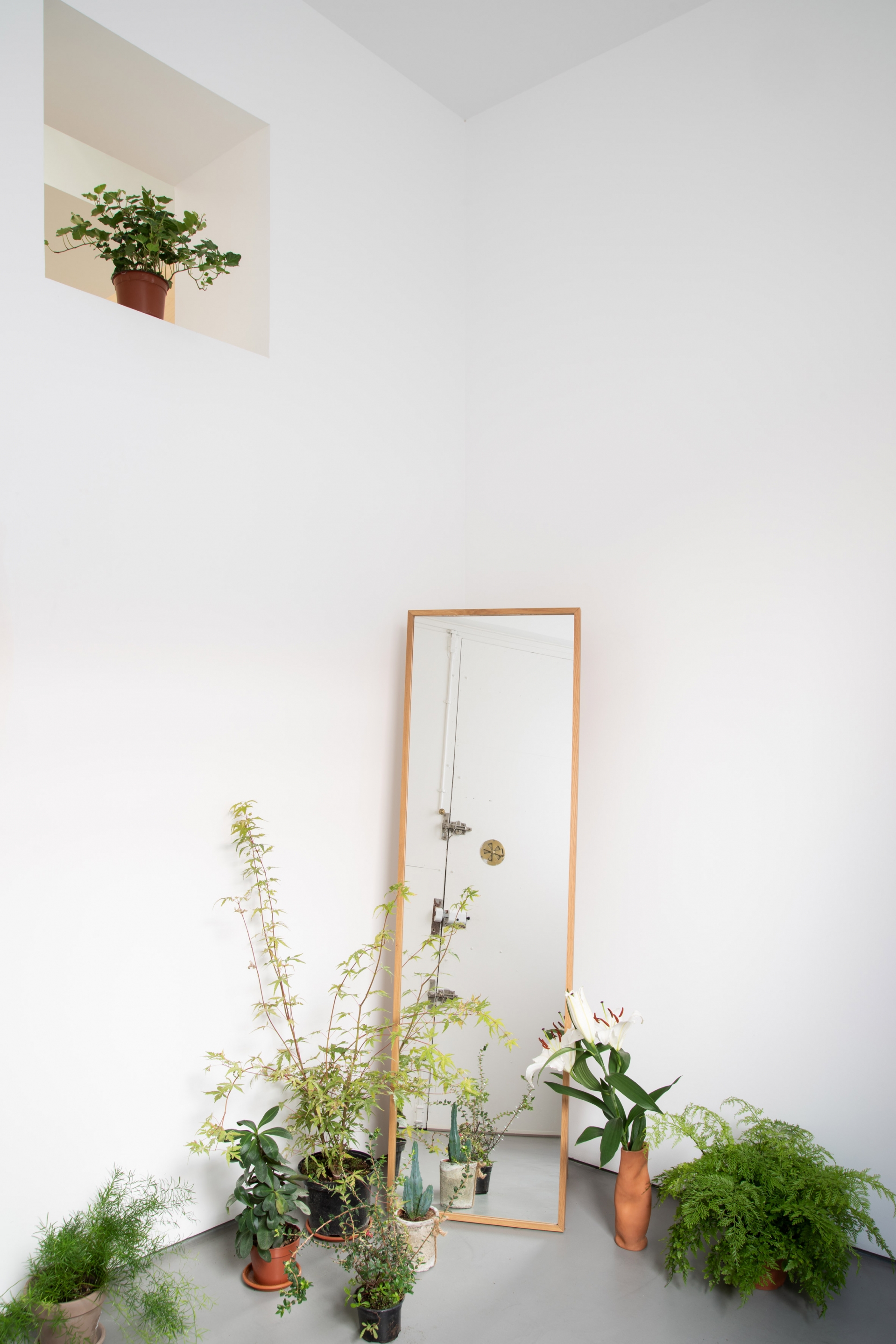 Hành lang lối vào được coi là không gian chuyển tiếp giữa bên trong và bên ngoài. Một loạt các cây trồng trong nhà nằm ở một góc, và một cửa sổ nhỏ trên tường tạo cảm giác sáng sủa.
